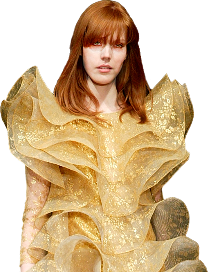 pierre cardin